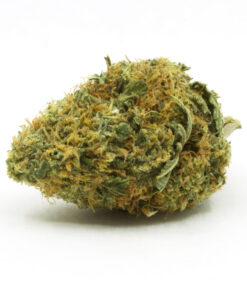 Blackberry Platinum