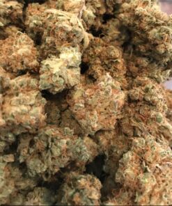 Blue Cookies