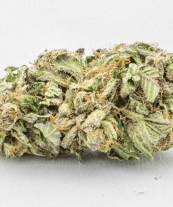 Comatose Indica