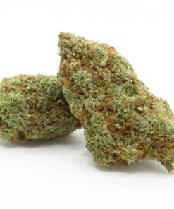 Gorilla Glue