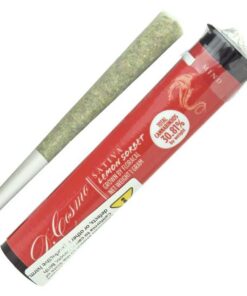 Lemon Sorbet Pre Roll