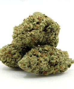 Miracle Alien Cookies – Flower