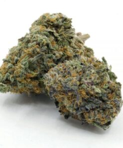 Pink Animal Cookies
