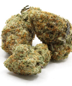 Animal Cookies New Batch