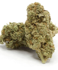 Sour Power Sativa Hybrid