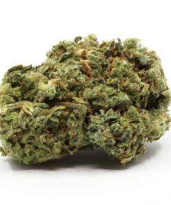 Sugar Black Rose